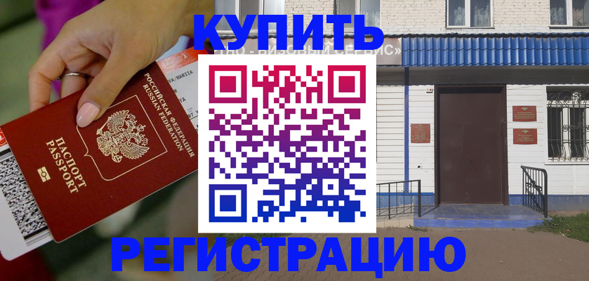 временная регистрация поиск в Светлогорске